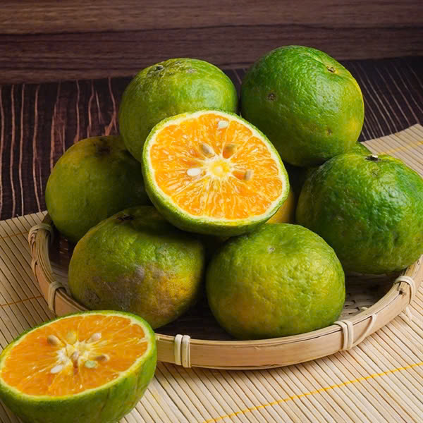 Ảnh 1